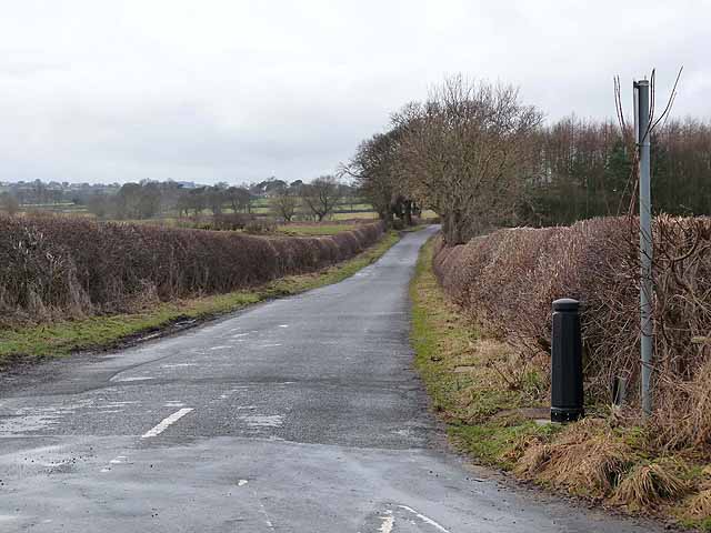Lane at Ouston Moor
