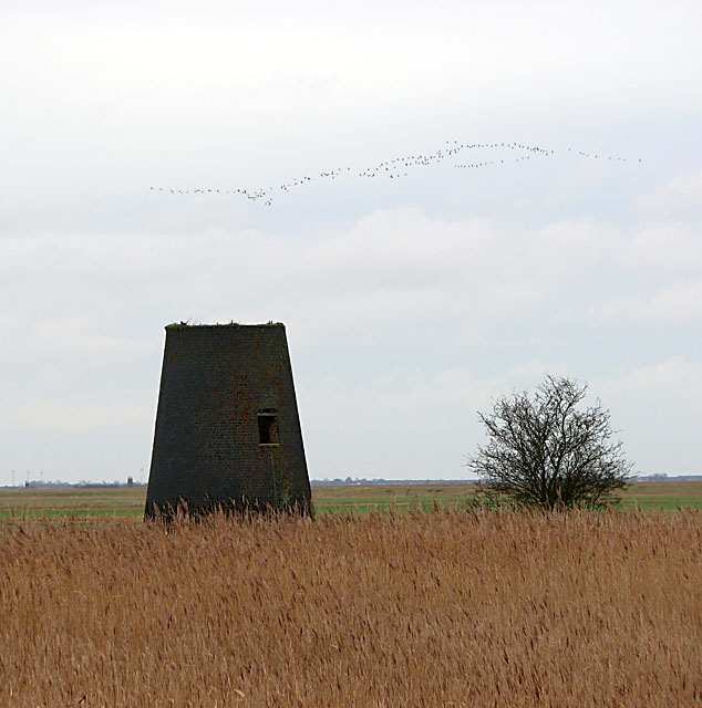 Geese over Stokesby Old Hall drainage pump on the River Bure