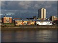 Thames-side buildings opposite Wandsworth