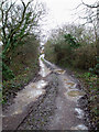 Eastwood Old Road