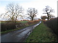 The Lane near Laxton Lodge