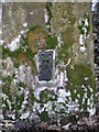 Benchmark bracket on trig point in Cockshutt woods