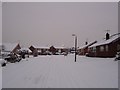 Snow on Calgary Drive