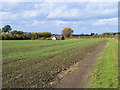 Farmland, Emmington, Chinnor