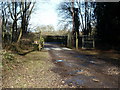 Cattle grid on track to Steepwood Farm