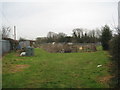 Allotments at Tuxford