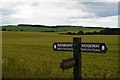 The Ridgeway: downland near Knighton Down