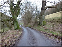 SE9690 : Looking down the road from High Dales near Hackness by Ian S
