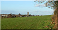 2011 : Leigh upon Mendip across the fields