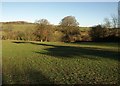 Field near Tisbury