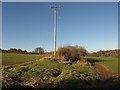 ST9330 : Telegraph pole above Fonthill valley by Derek Harper