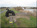 SE8307 : The River Trent and the M180 bridge by Jonathan Thacker