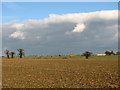 TG3805 : Blustery sky over fields south of Beighton by Evelyn Simak