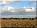TG3805 : Farmland south of Beighton by Evelyn Simak