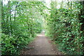 Medway Valley Path