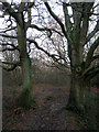 Bridleway, Markstakes Common