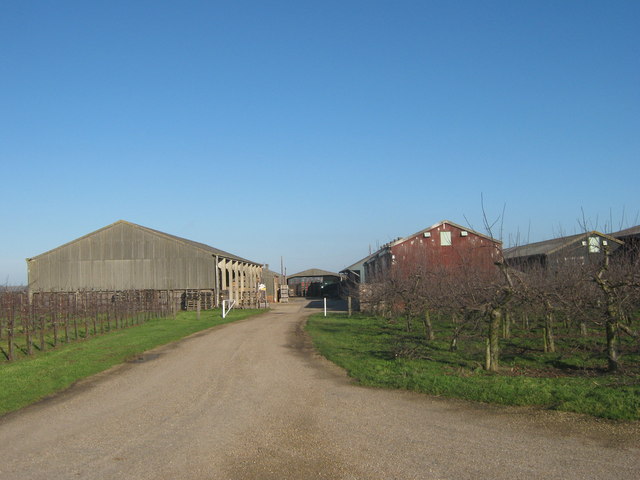 Sheds of the Fruit Packing Station