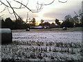 Chevening Park in winter