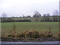 Cycle by a hedge Sculpture