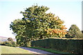 Stalybridge : Stamford Park Playing Fields