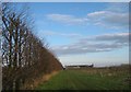 Footpath to Downfield Farm