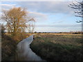 Drainage channel in Westmarsh