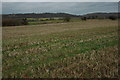 Stubble field near Cropthorne