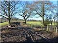 A boggy bridleway junction