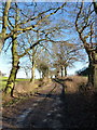 Bridleway and access to the houses at Radleth