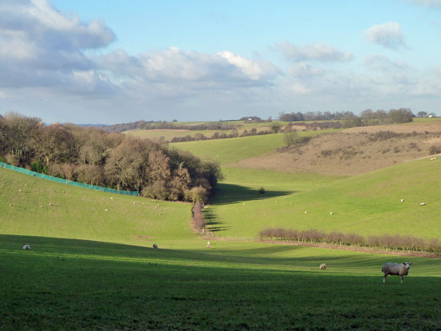 Country west of Botley Hill