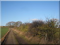 Bridleway to Danethorpe Hill