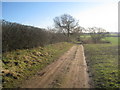 Bridleway from Danethorpe Hill