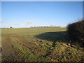 Bridleway to Danethorpe Hill (2)