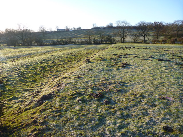 Ridge and Furrow in meadow east of... © Andy Waddington :: Geograph ...