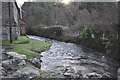 The view downstream from a bridge over Colam Stream at Muddiford