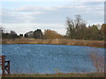 TR2959 : Reservoir near Lower Weddington Farm by David Anstiss