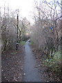 Footpath to Chelsham Road