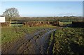 Tracks beside Northbeer Lane