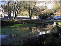 Village pond, Sigingstone