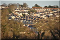 Plymouth : Central Park - Houses on the Hillside