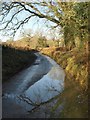 Water on Combe Moor Lane