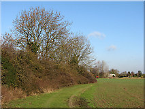 TL5357 : Fulbourn to Wilbraham footpath by John Sutton