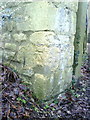 Benchmark at entrance to Garden Cottage