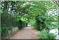 Medway Valley Walk by the River Medway