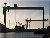 J3575 : The Harland and Wolff Building Dock, Belfast by Rossographer