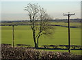 Large fields east of Bolsover