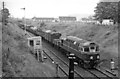 Up freight train approaching Bonar Bridge Station, Ardgay