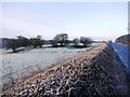 Pasture, Hexham Road, east of Heddon on the Wall