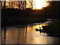 River Blackwater at Sunset