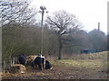 Strawberry Farm, Normandy